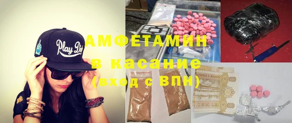 гашик Алексин