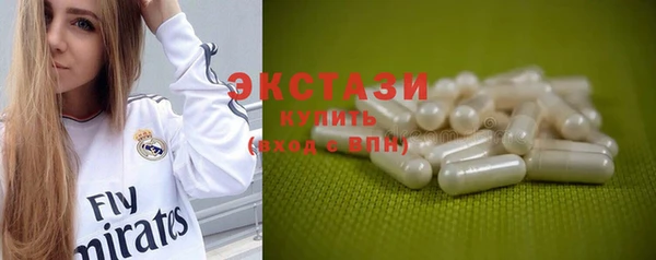 гашик Алексин