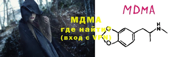 гашик Алексин