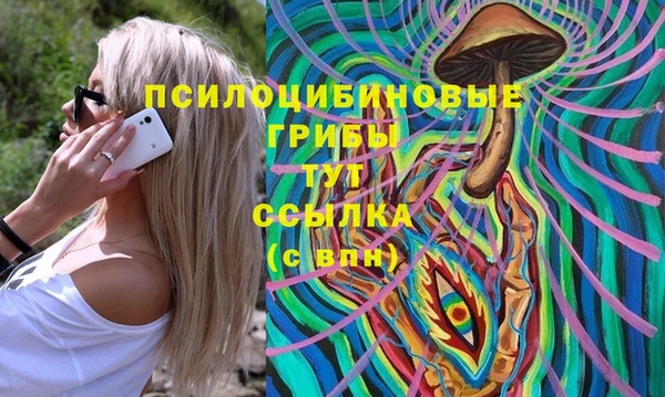 гашик Алексин