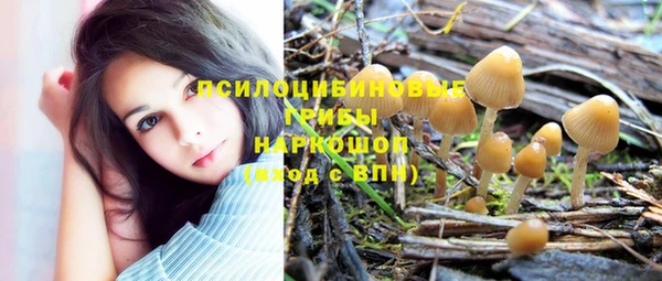 прущие грибы Алзамай