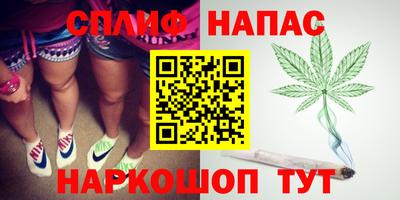 apvp Гагарин