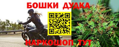 хмурый Гатчина