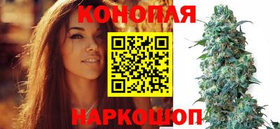 твердый Гай
