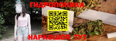 твердый Гай