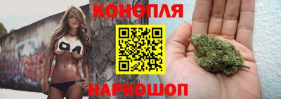apvp Гагарин