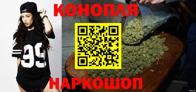 apvp Гагарин