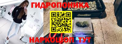 хмурый Гатчина