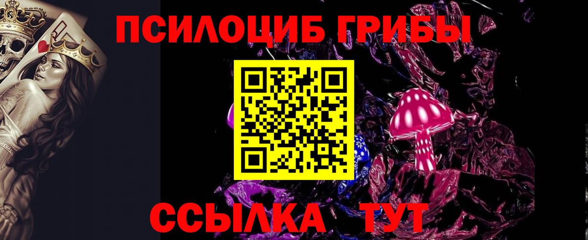 купить   Вход с VPN  Псков  Псилоцибиновые грибы Psilocybe 